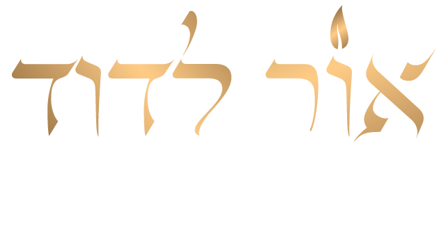 אור לדוד